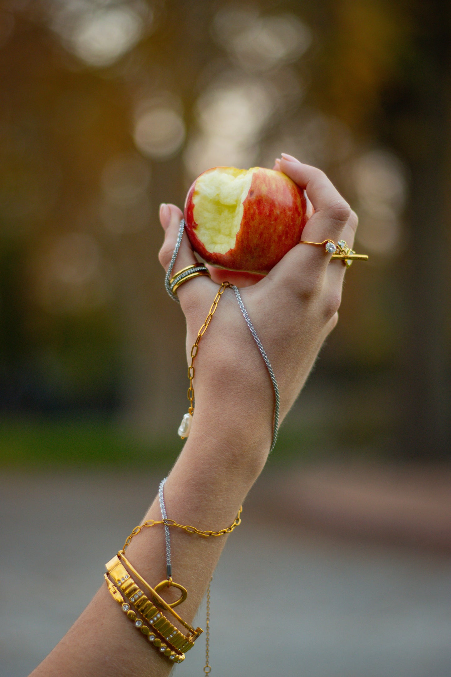 The Tala Link Necklace